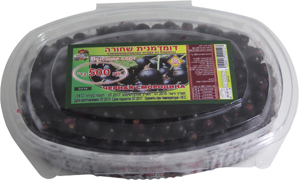 דומדמניות שחורות 500