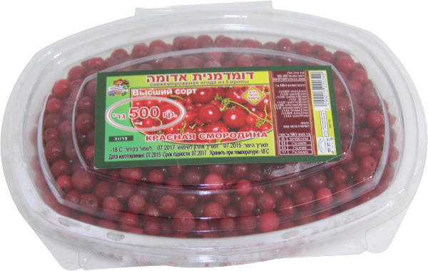 דומדמניות אדומות 500