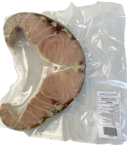 סטייק דג חידקן