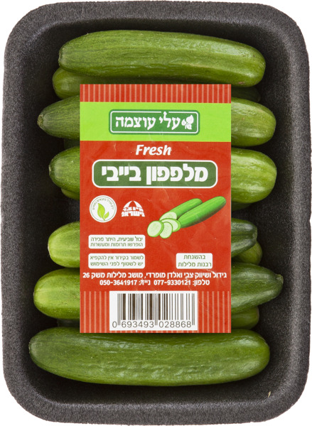 מלפפון בייבי
