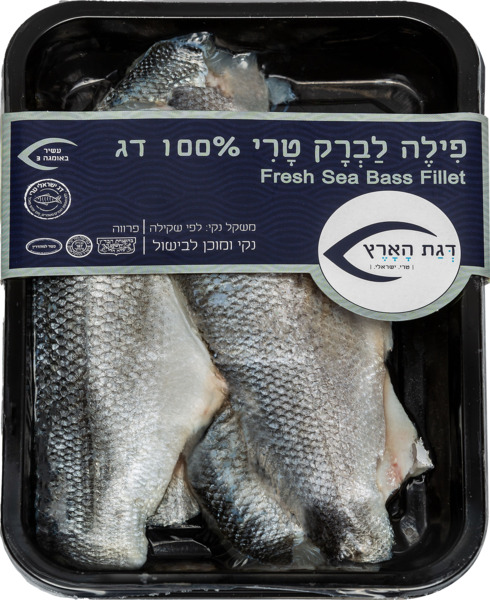 פילה לברק טרי במגשית