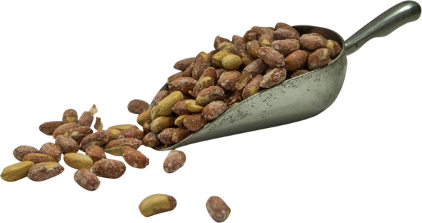 בוטן קלוי ענק