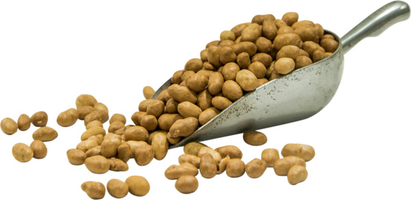 בוטן אמריקאי