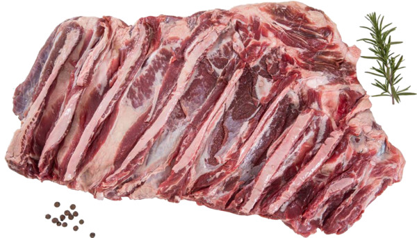 קשתית 9 חלק טרי בלדי ארגנטינה