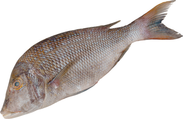 Sheri Fish Per Kilo (Emperor) | City Hypermarket Kuwait Online