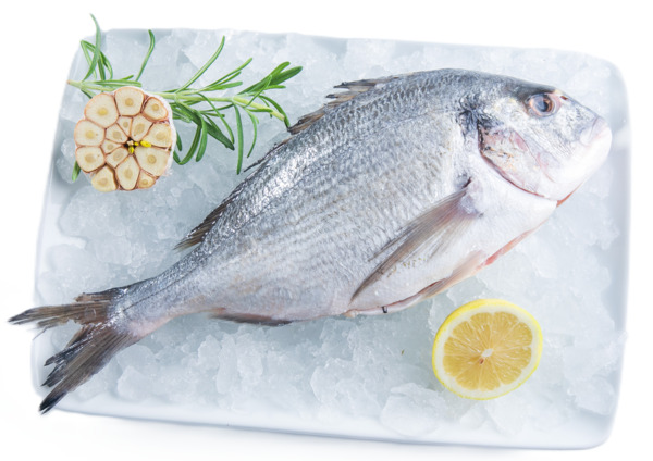 דניס נקי טרי