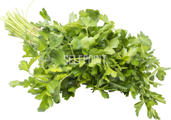 גרודינקה ביתית