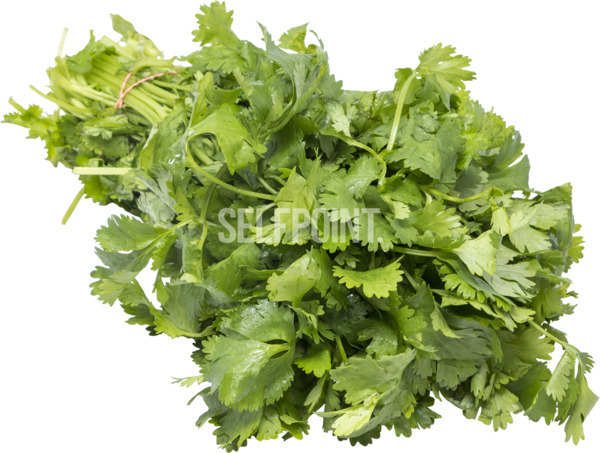 גרודינקה כפרית