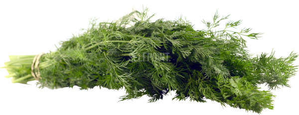 נקניק מורטדלה חדשה