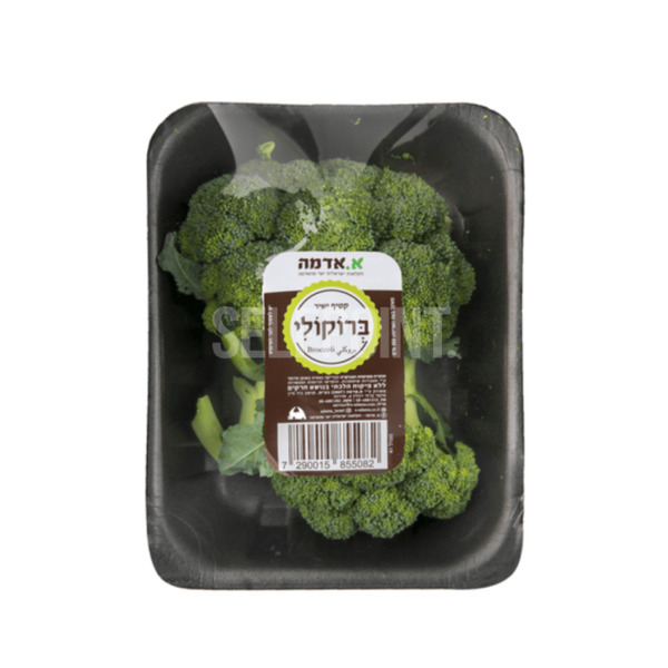 ברוקולי ארוז -גן היר