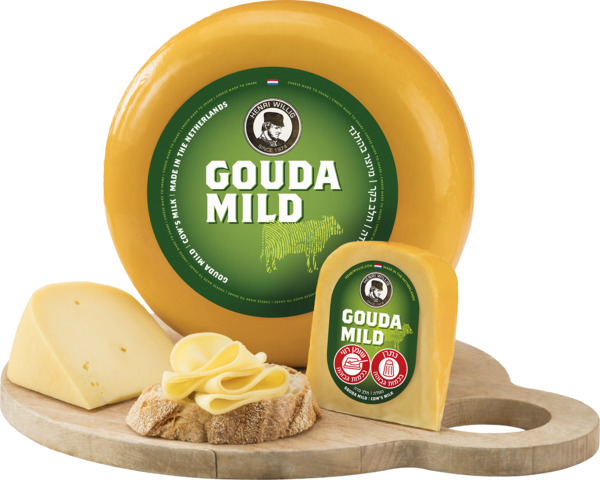 גבינה גאודה