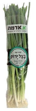 בצל ירוק ארוז