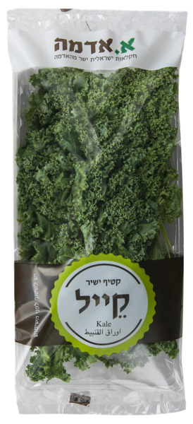 כרוב  על- קייל א.אדמה