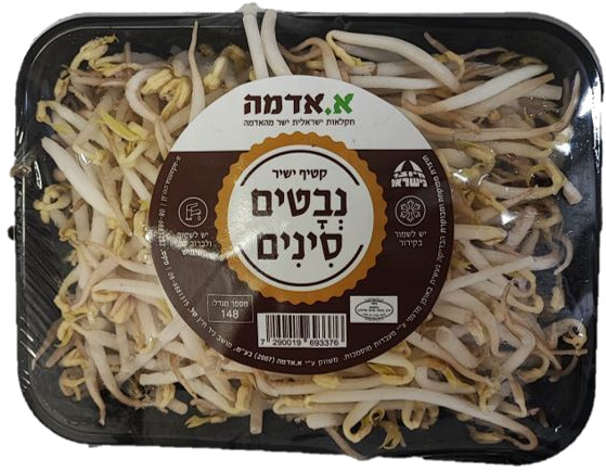 נבטים סינים מרינה