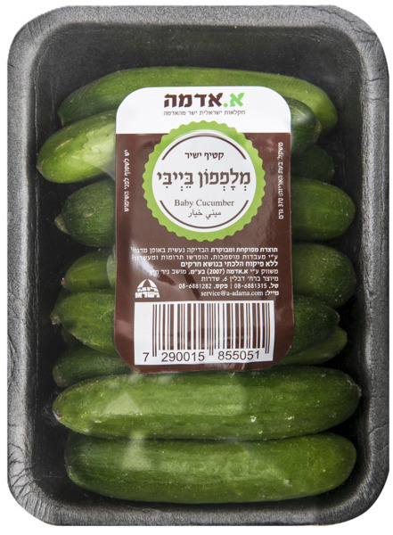 מלפפון בייבי יחידה