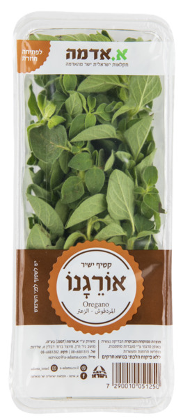 אורגנו