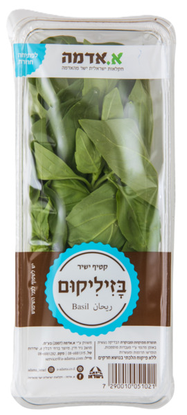 בזיליקום