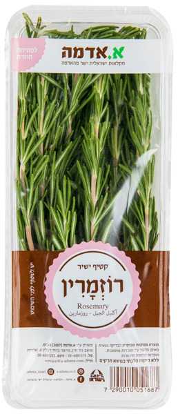 רוזמרין.