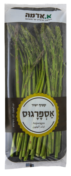 אספרגוס ארוז