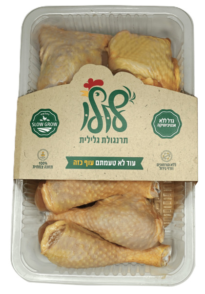 קוקטייל פטם לולו טרי