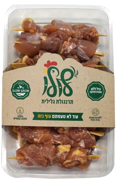 שיפודי פרגית פטם טרי