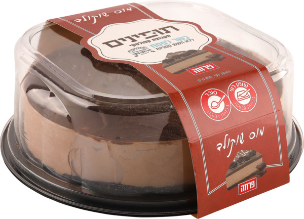 עוגת שכבות שוקולד בציפוי שוקולד כשרה לפסח