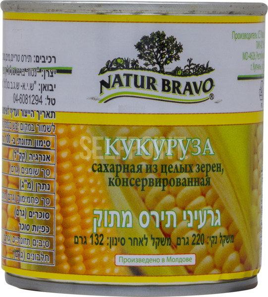גרעיני תירס