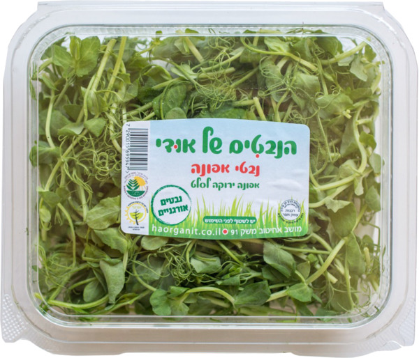 נבטי אפונה אורגני