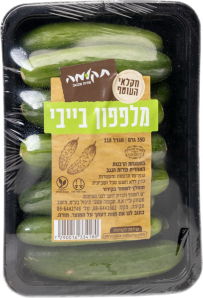 מלפפון בייבי תקומה