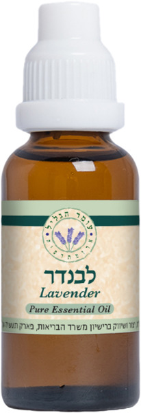 שמן אתרי לבנדר 30 מל עומר הגליל