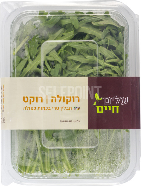 תבלין רוקולה /בזיליקום  100 גר