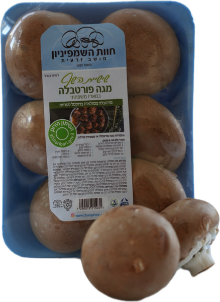 פטריות מגה פורטובלו