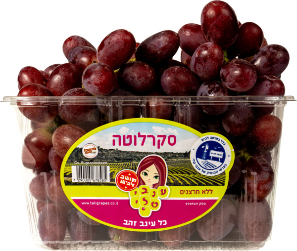 ענבים אדומים סקרלוטה
