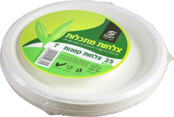 צלחת קטנה "7
