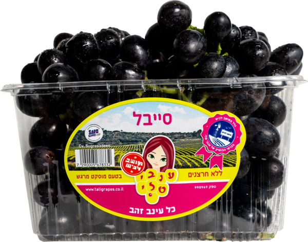 ענבים שחורים סייבל