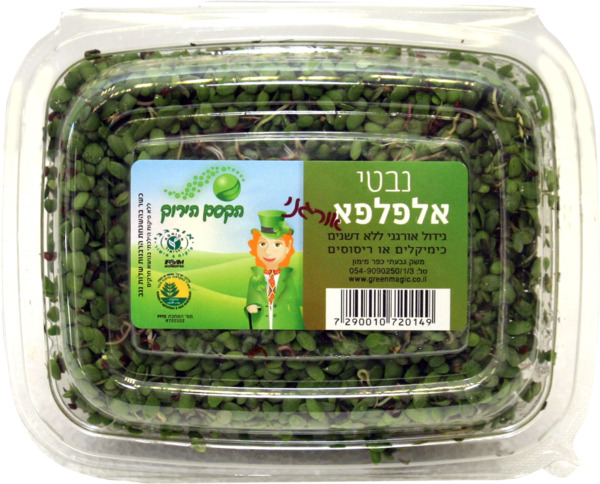 נבטי אלפלפא אורגני