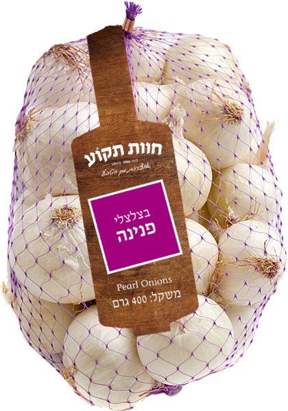 בצלצלי פנינה תקוע