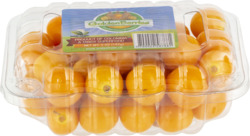Golden Berries