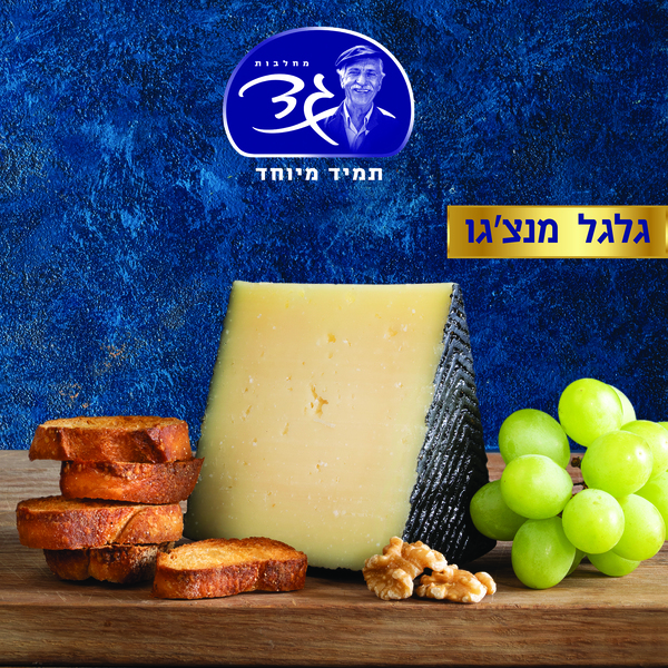 גבינת מנצגו כבשים גלגל   ספרד