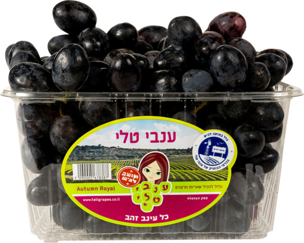 ענבים אוטום רויאל
