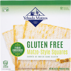 Gluten Free Matzo-Style Squares