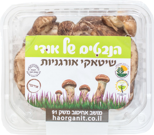 פטריות שיטאקי אורגני
