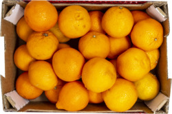 Sweet Easy Peel Mandarins Box