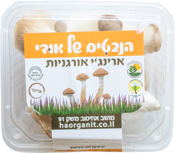 פטריות אורגני