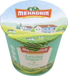Plain Low Fat Yogurt