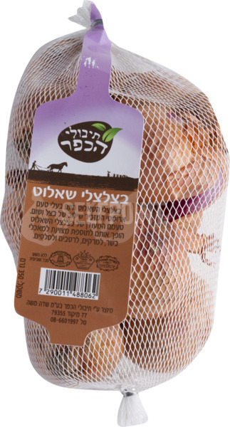בצלצלי שאלוט