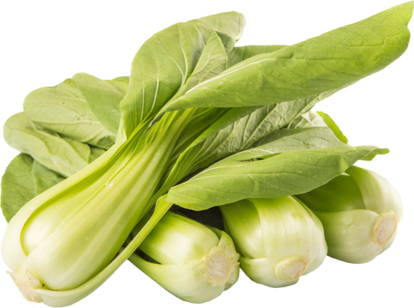 ראש פאק -צוי מהדרין יחיד