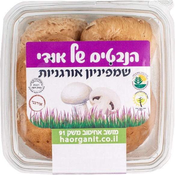 פטריות שמפניון הנבטים של אודי