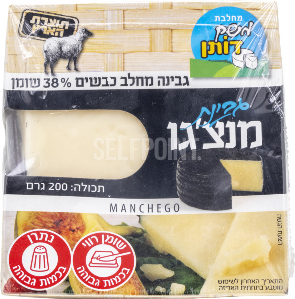 מנצ'גו כבשים קרטונית