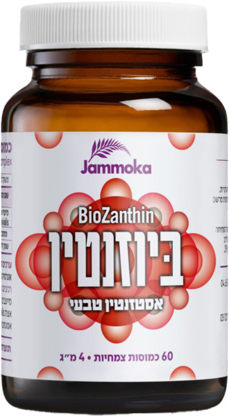 ביוזנטין 60 כמ`
